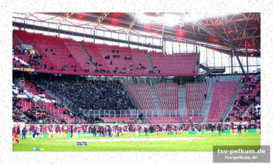 Teamgeist als schlüssel zum erfolg