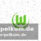 Wichtige wochen mit duellen gegen augsburg, hsv und bremen