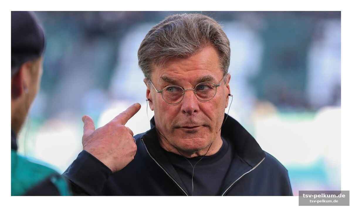 Hecking fordert konzentration und effizienz