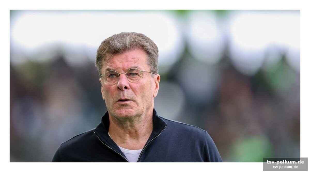 Ein blick in die vergangenheit: wolfsburg dominiert die relegation