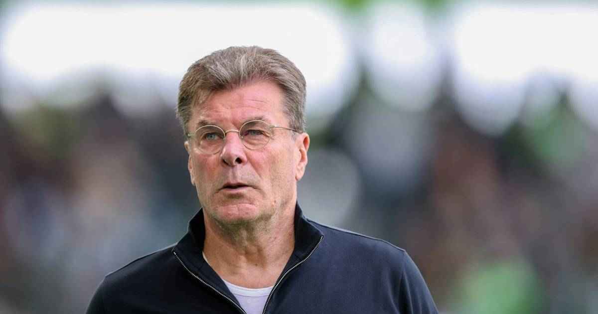 Wolfsburg-paderborn: buchmacher sehen klare verhältnisse