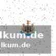 Eine ungewöhnliche taktische rolle für woltemade