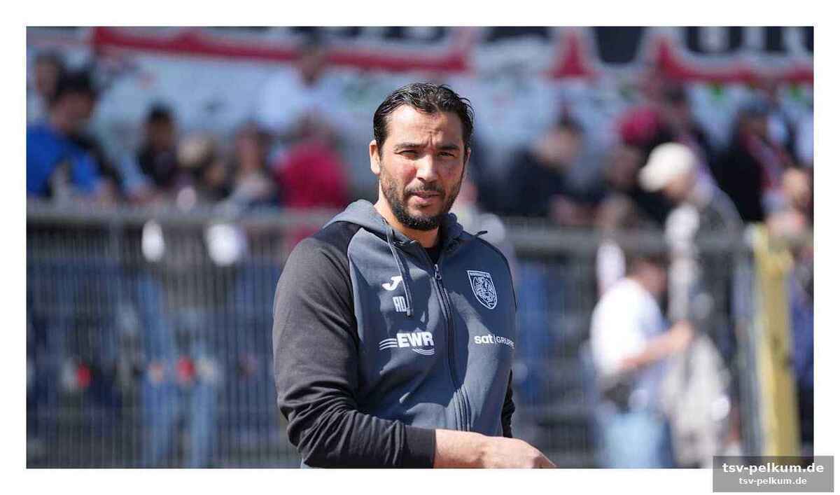 Weisenborn übernimmt interimsweise, köksal sichert die sportliche leitung
