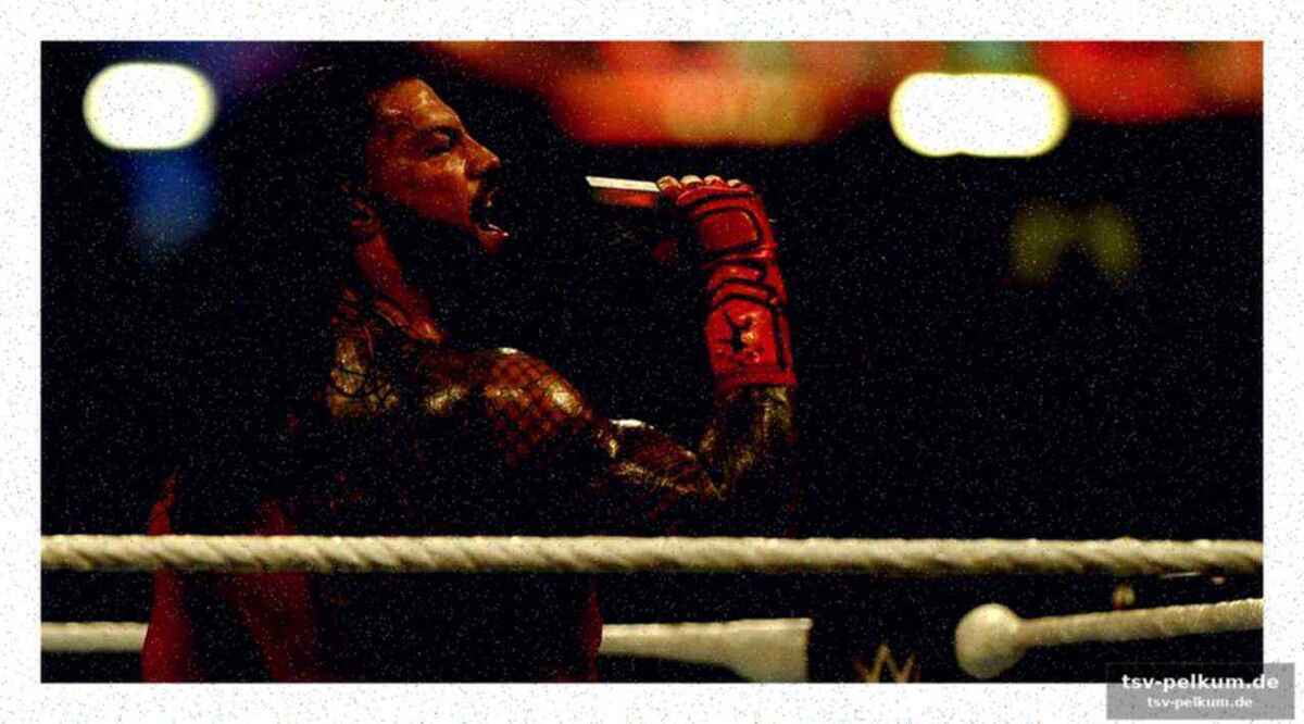 Die wrestlemania 42 card im detail