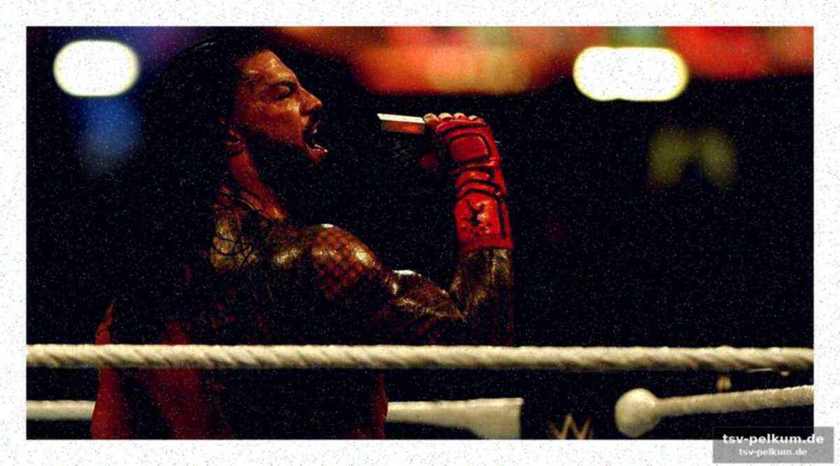 Die vollständige card von wrestlemania 42