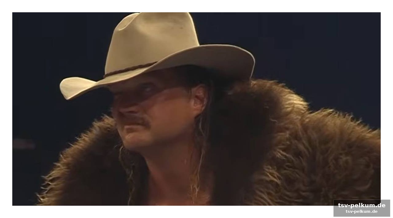 Die rolle des „erben“ von stan hansen