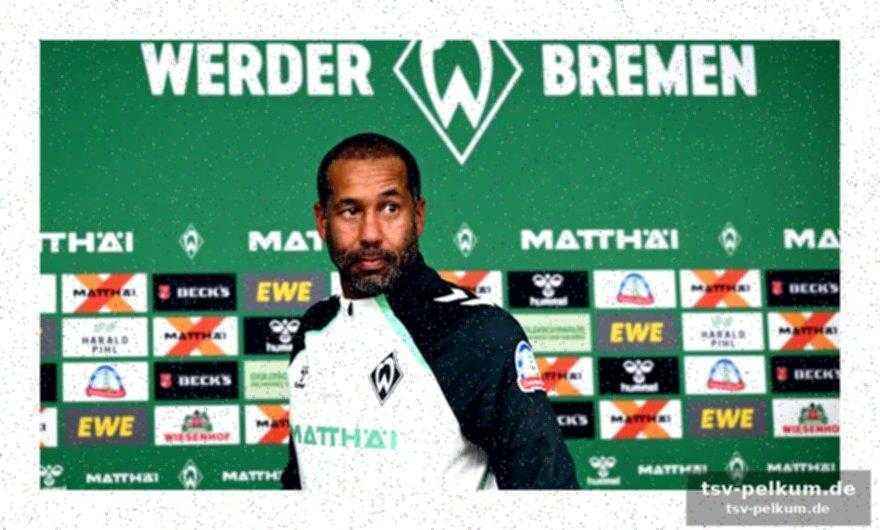Die rolle des trainers und der teamchemie