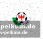 Die zukunft der wsg tirol
