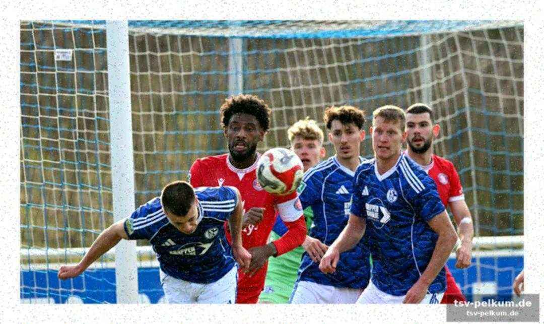 Fassungslosigkeit nach schalke