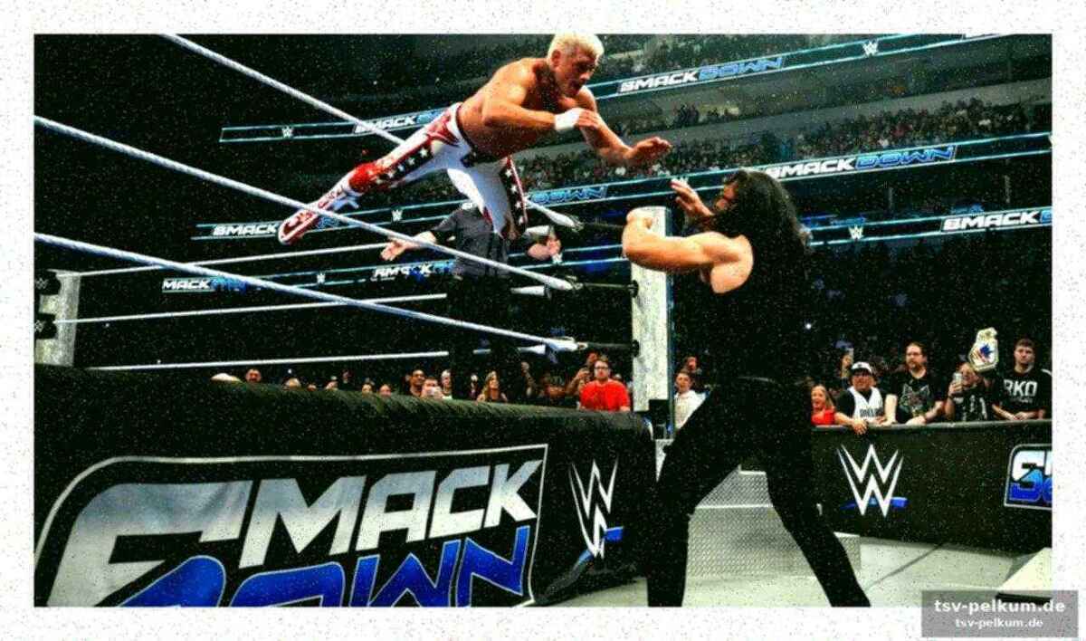 Teil der wwe european summer tour