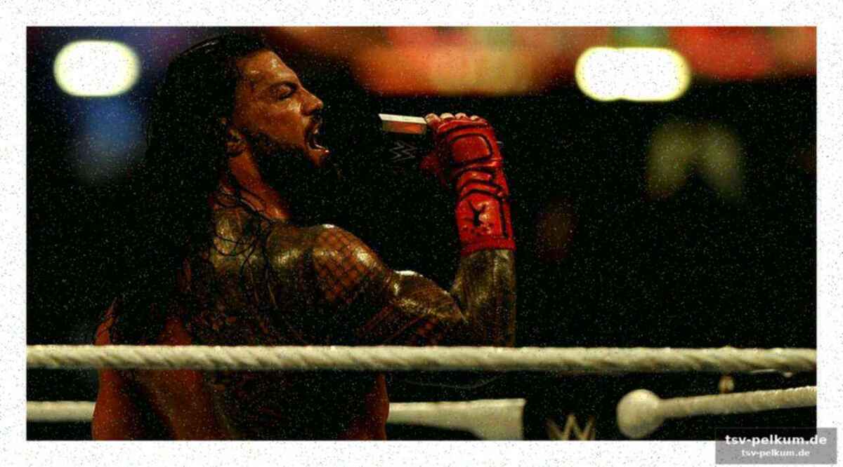 Rey mysterio steigt in die leiter ein – und ein tiktok-star boxt mit den usos