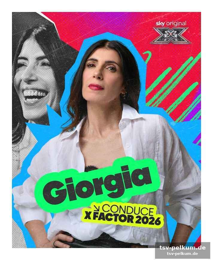 X factor als sprungbrett für neue talente
