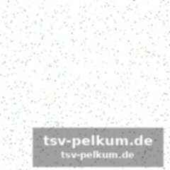 Reaktionen aus dem team und vonseiten des verbands: einhellige verurteilung