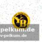 Yb-ausfallliste vor dem spiel in sion