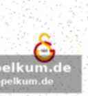 Demirs bisherige karriere: stationen im überblick