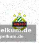 Statistik-überblick