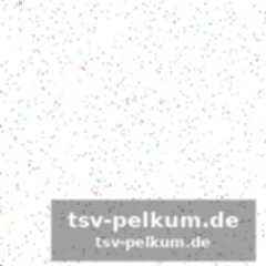 Ein märz, der alles entscheidet