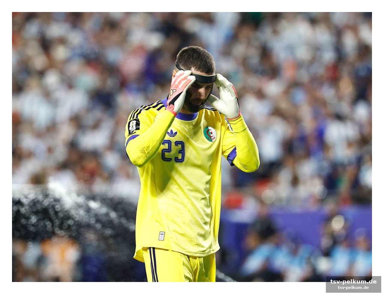 Trainer schützt seinen keeper