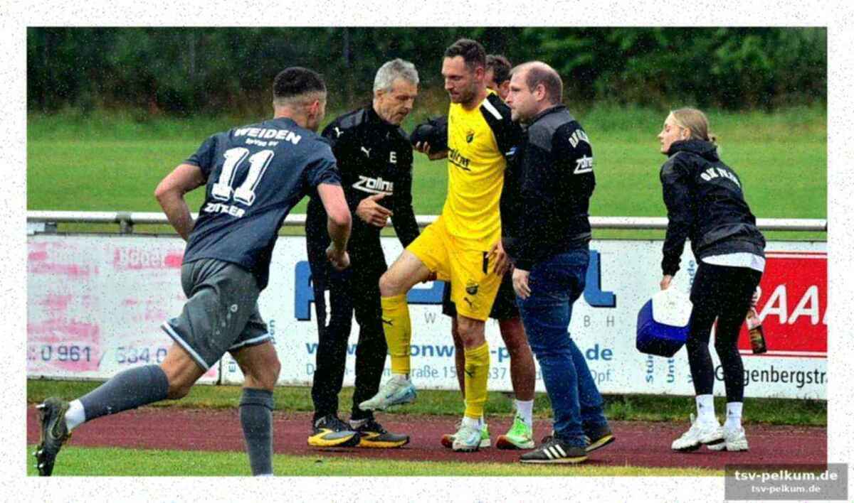 Mehr als nur ein spieler: die bedeutung von ziereis