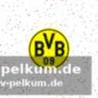 Kovac relativiert den vorfall