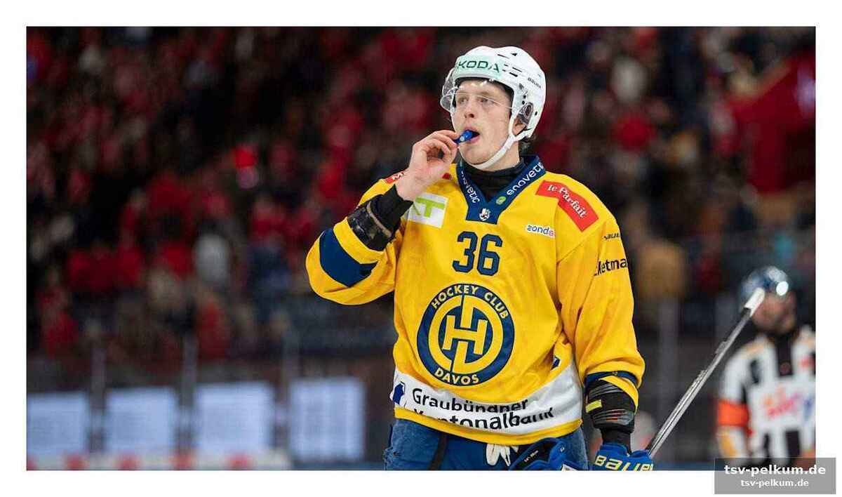 Defensive stabil, offensive muss zulegen: die kader-analyse