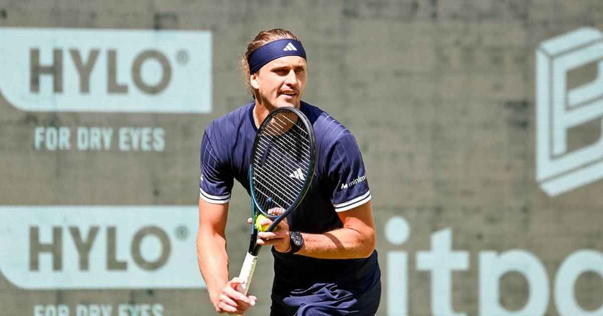 Zverev fordert hanfmann im halle-duell heraus – so sehen sie das match live!