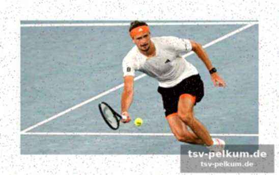 Zverev: genesung hat vorrang