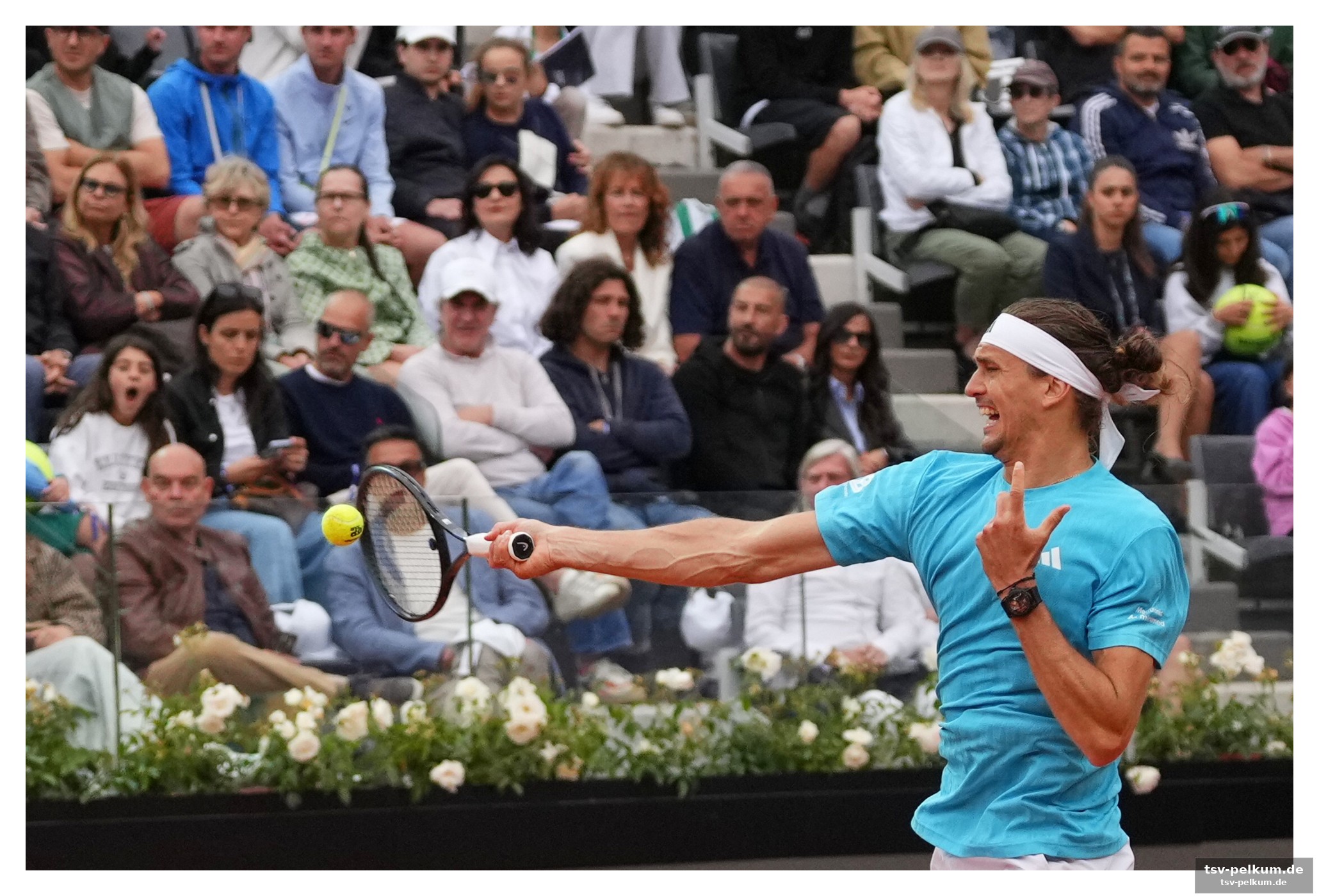 Prizmics sensation: djokovic demontiert!