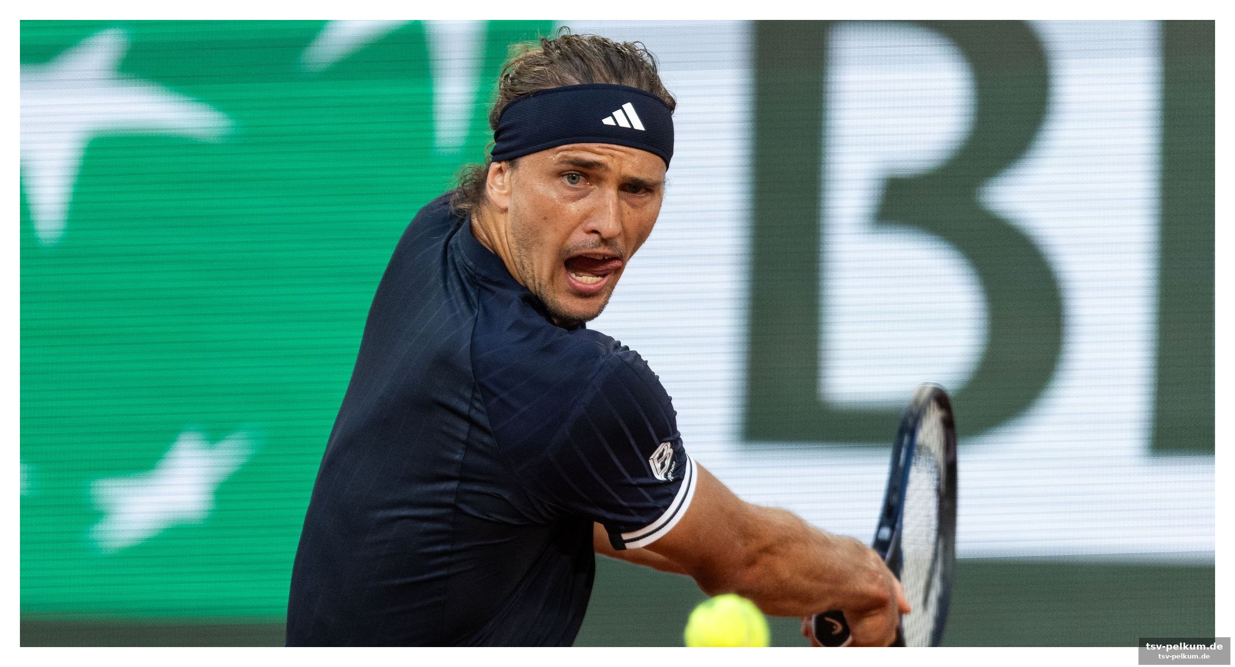 Becker sieht den besten sascha seit jahren