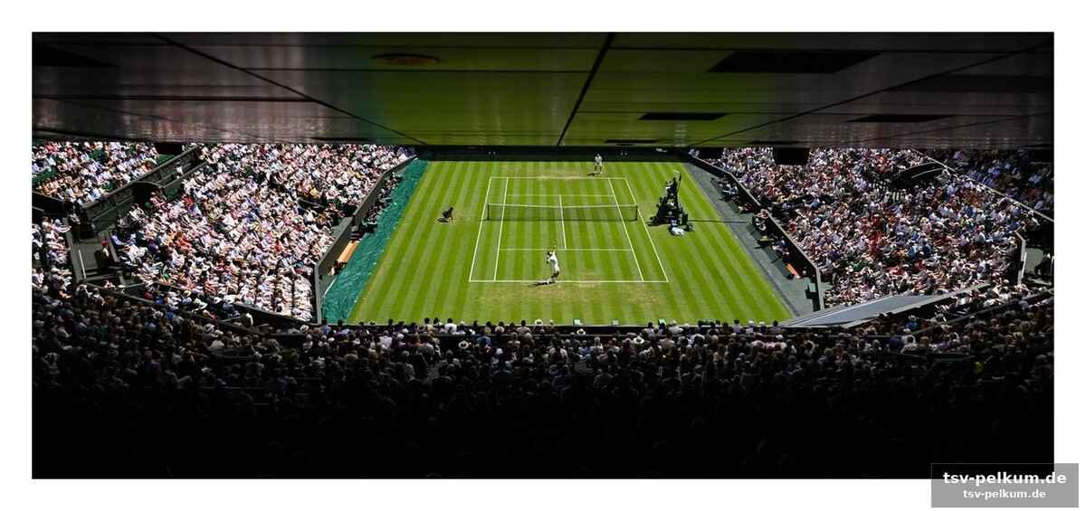 Djokovic und das familienduell: vater gegen sohn, tochter gegen legende