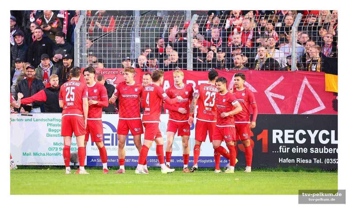Co-trainer rupf: "das war wie steineklopfen"