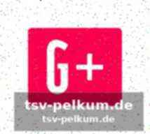 Der plan, der keine alternative lässt